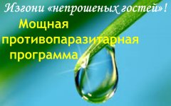irendnk.justclick.ru_media_content_irendnk_men_777555.jpg